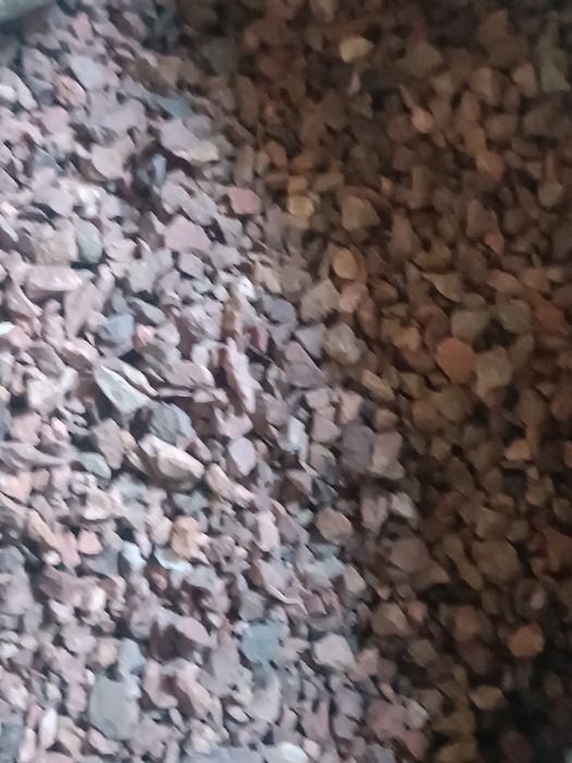 Продам капчагайский грунт