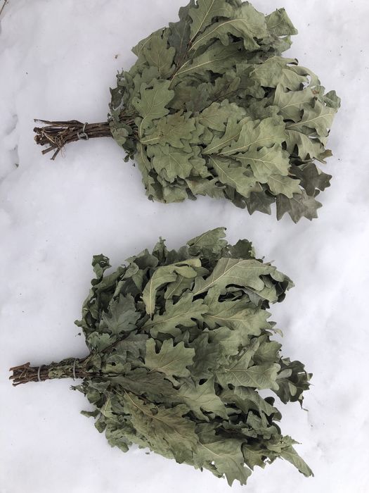 Дубовые веники качественные