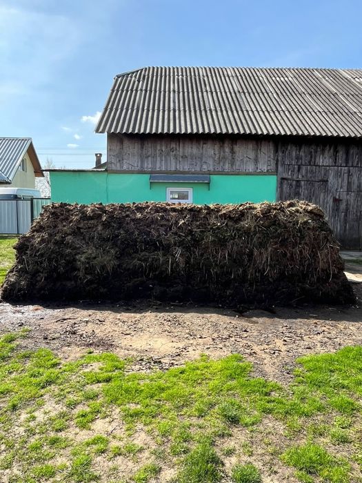 Platforma gunoi grajdi