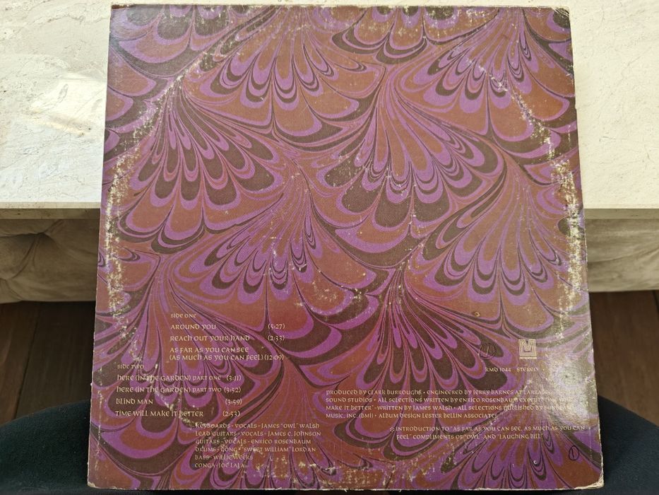 Discuri vinyl rock de colecție