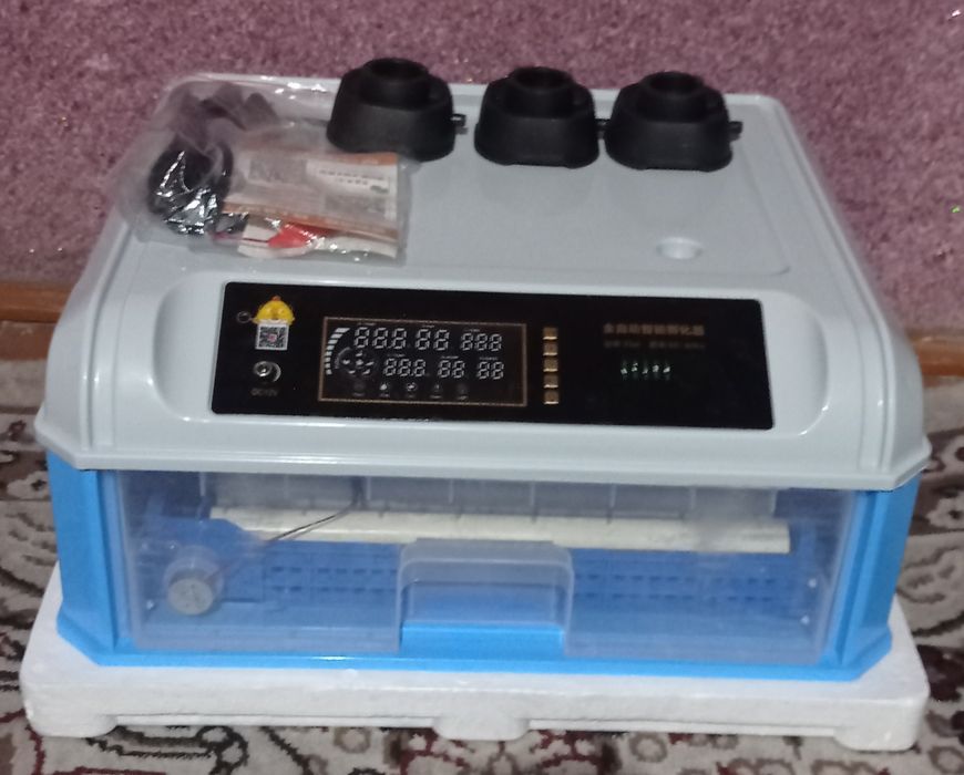 Inkubator 48 talik