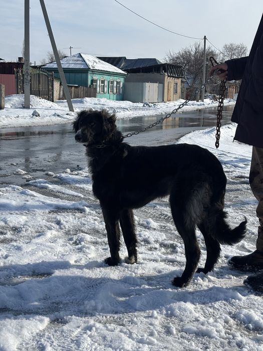 Тазы потерялась..