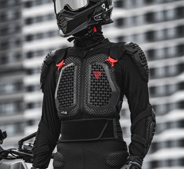 Моточерепаха motowolf
