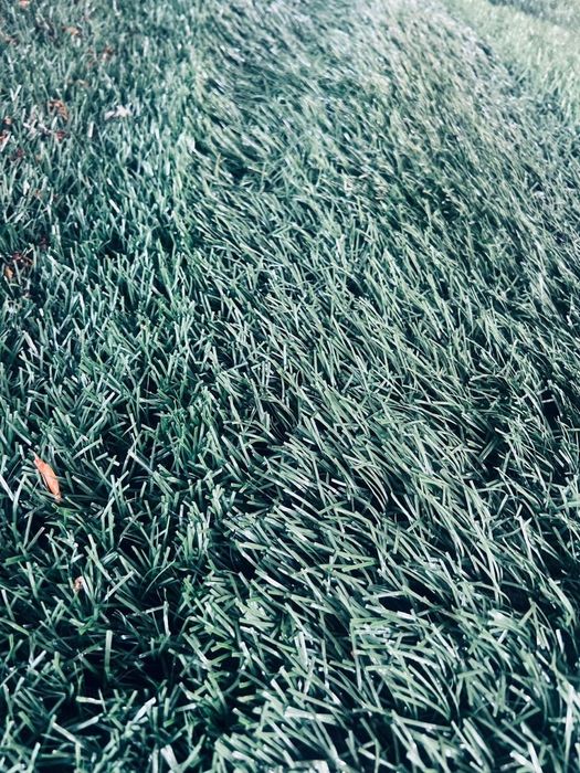 Искуствни газон для поля