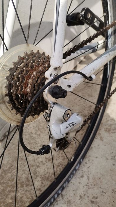 Bicicleta Calibre Filter Hybrid