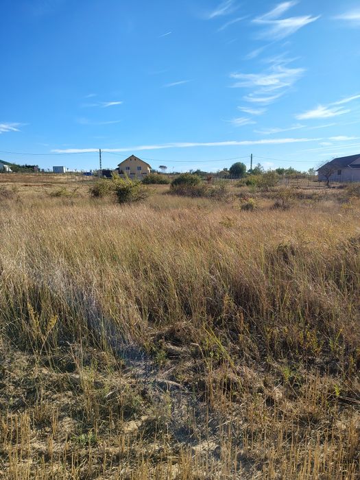 Teren 500 mp – Cihei / limită Apateu | Lângă Inelul Metropolitan
Vând teren intravilan