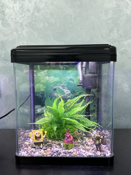 Заводские аквариумы от 10 до 150л