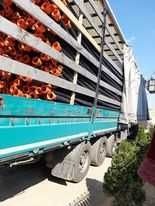 Coloana de irigat/Teve 6m-75mm PN6 402m