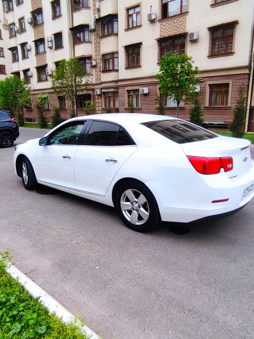 Malibu 1 Малибу Malibu