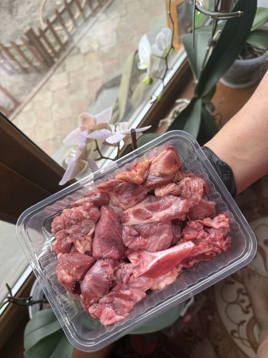 Мясо и фарш для собак