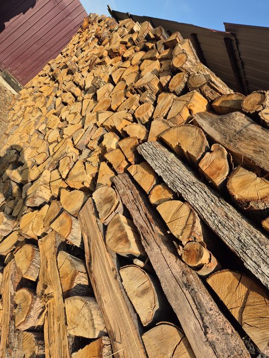 Lemne pentru foc esențe tari