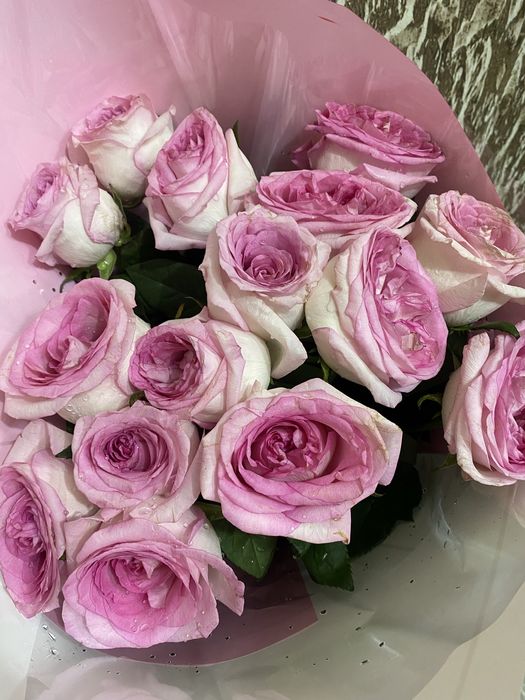 Гул кеше акелген екеуи 5000