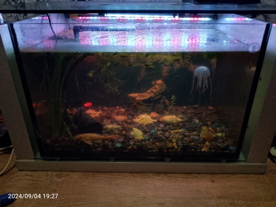 Продам аквариум с рыбками