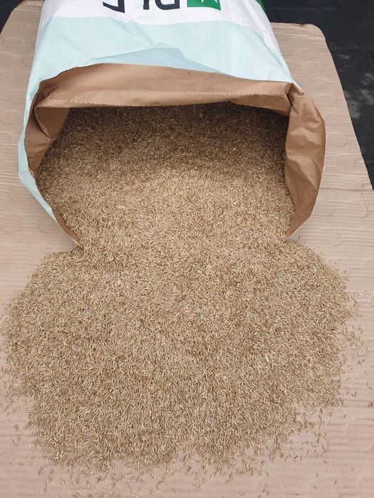 Samanta iarba coasă ,pasune ,Amestec furajer ,iarba Sudan ,pajisti