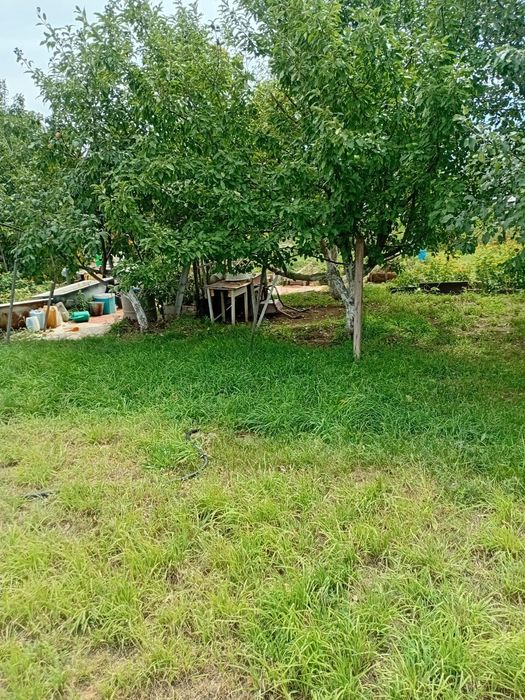 Продам дачу садовый кооператив Природа