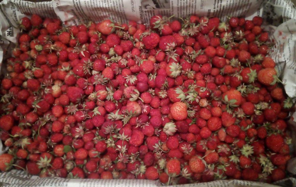 Дача 2 комнаты пмк 29