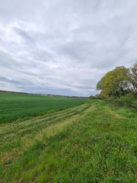 Продава се Земеделски имот в с. Ябълчево, Област Бургас -  кв.м за 2285 €/дка - Снимка #2