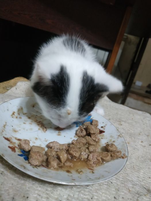 Предновогодняя распродажа