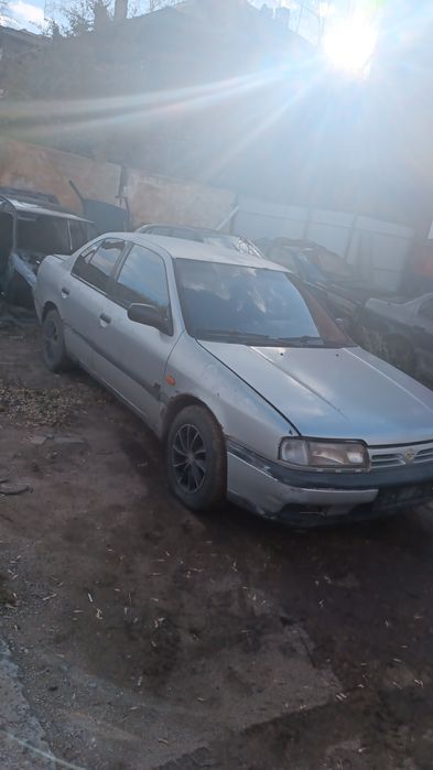 Ниссан разбор, пополнение