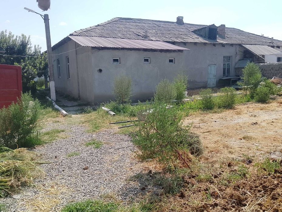 Племсавхозда ховли сотилади