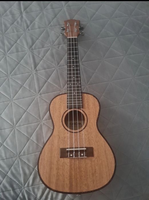 Ukulele Concert Cascha