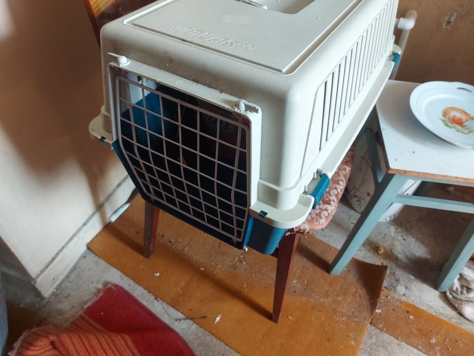 Cusca transport animale companie -150 lei