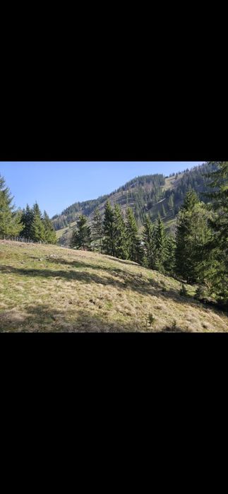 Teren de vanzare partial intravilan in Bucovina Pojorata Transrarau