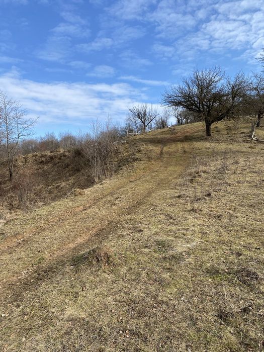 Teren extravilan pretabil pentru casă de vacantă