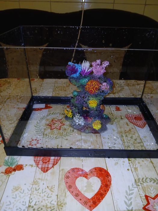 Acvariu pentru pești