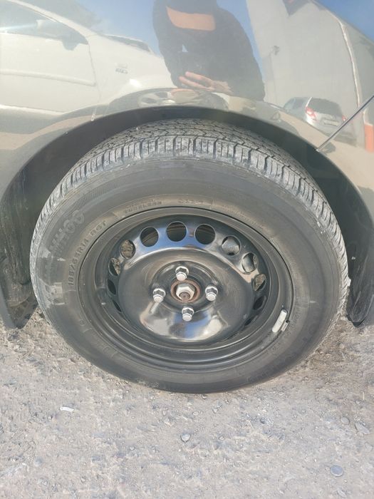 14 diska balon charmhoo balonda