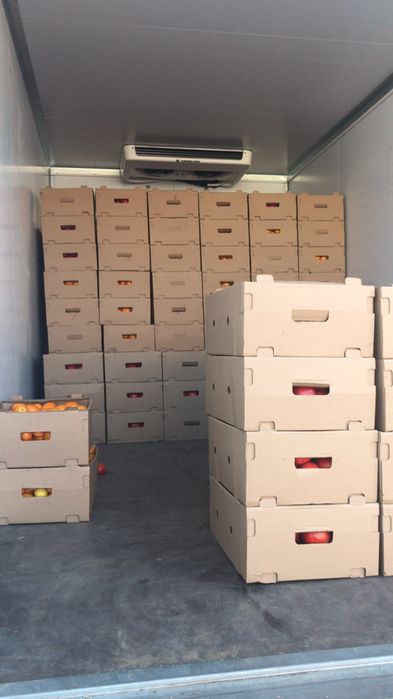 Услуги Газель рефрижератор термобудка реф термо   100мм