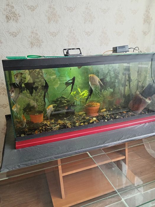 Продам аквариум с тумбой