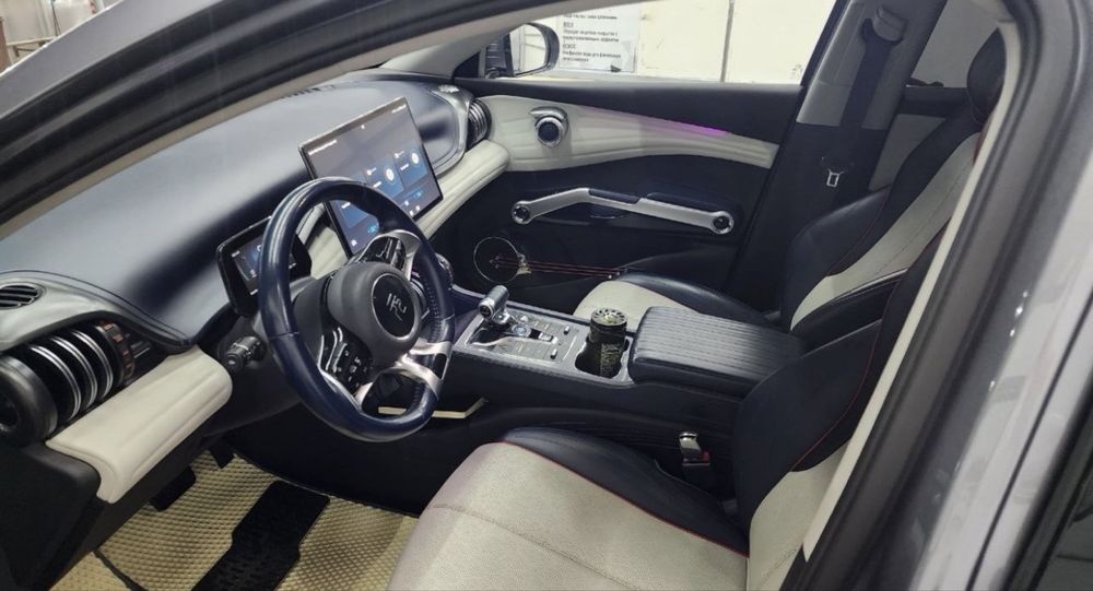 Byd yuan plus  100% краска тозза