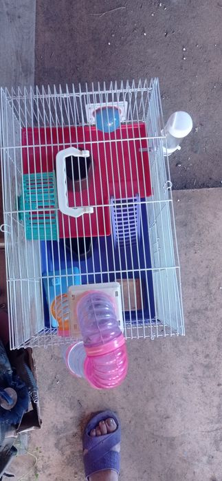 Продам клетку для хомячков