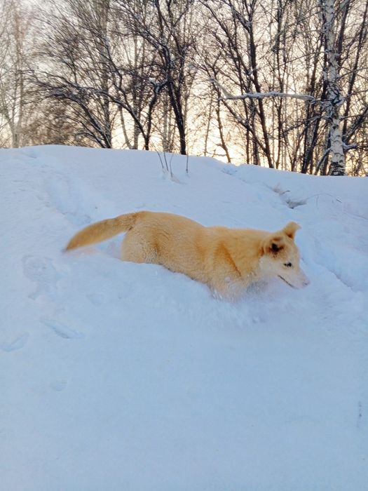Очень добрая и ласковая девочка