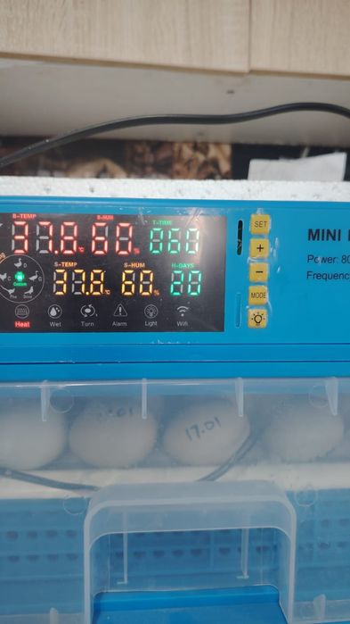 Инкубатор на 60 яйц