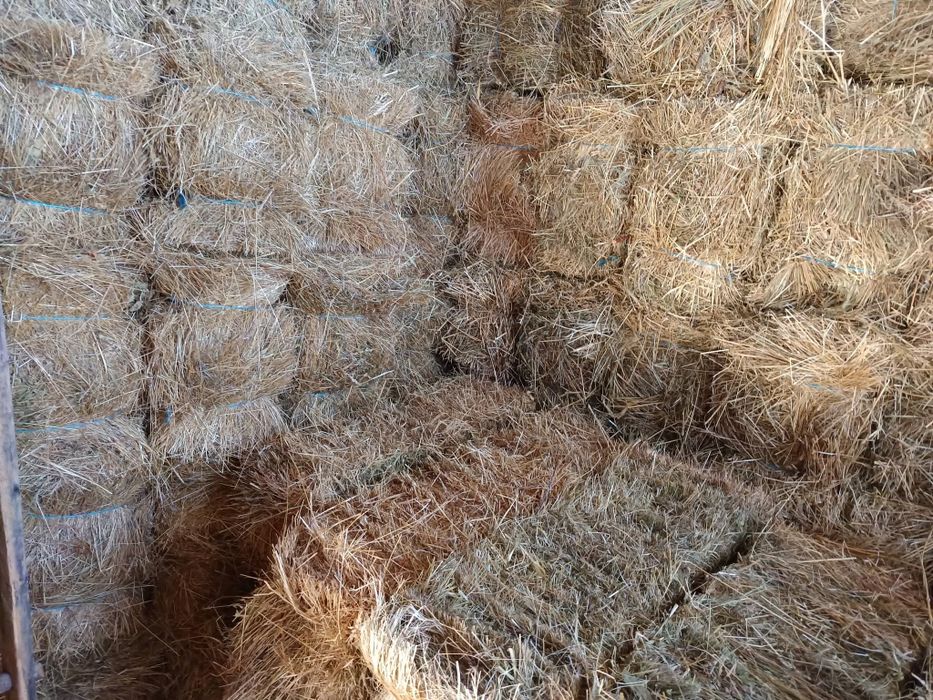 Vând baloți de fân