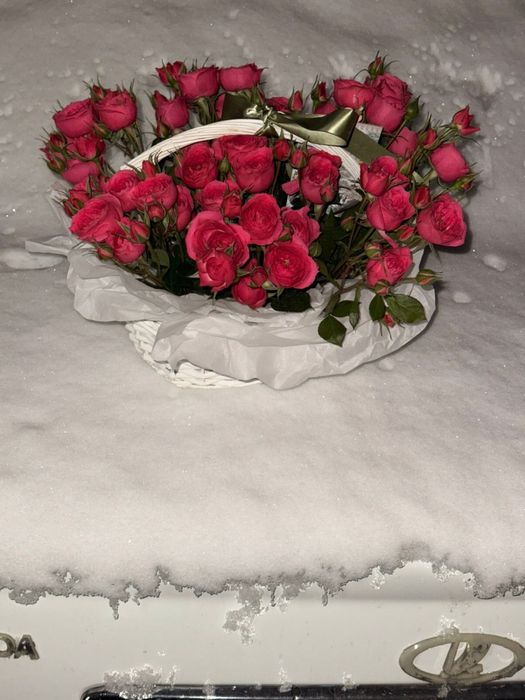 цветы продаю срочно новые