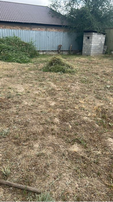 Косим траву Шоп шабамыз