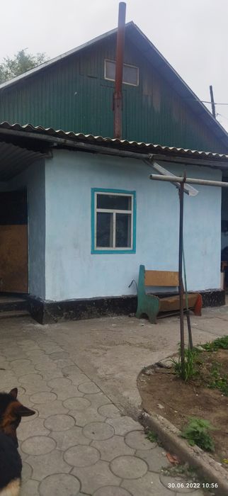 Продам дом с  действующим сто