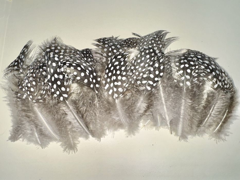 Pene bibilica 30 bucati