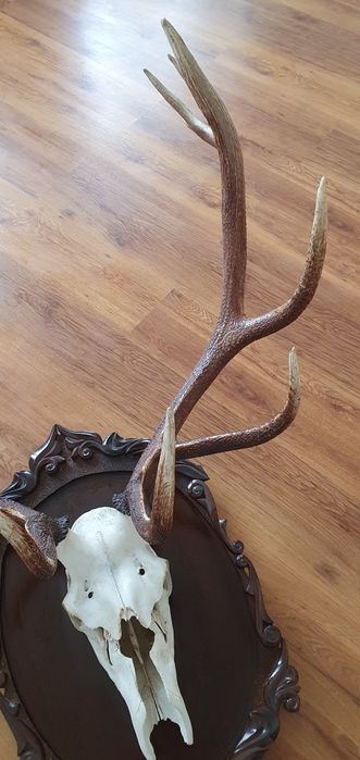 Сувенир на подарок