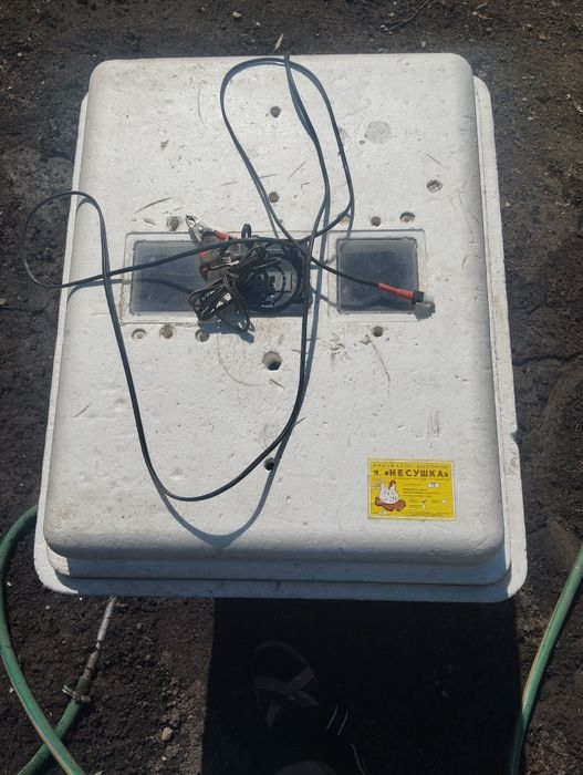 Инкубирования яйц