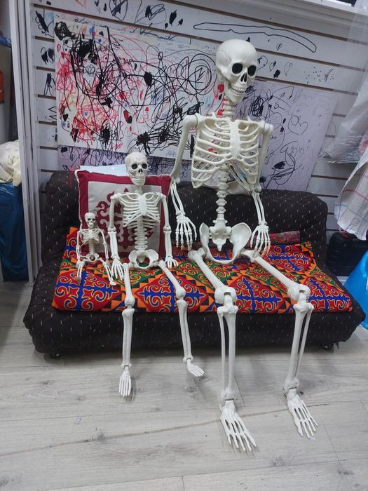 Скелеты из пластмассы.