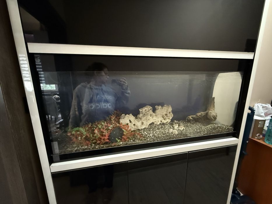 Дизайнерски голям аквариум с шкаф-преграда + техника (готов за ползван