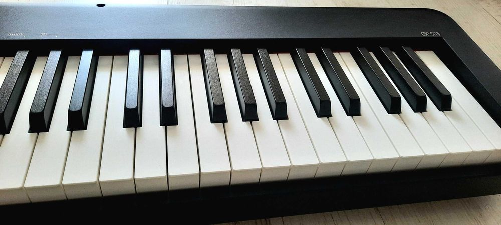 Синтезатор, Дигитално пиано Casio CDP-S110