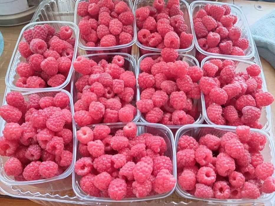 Продам варенье из малины