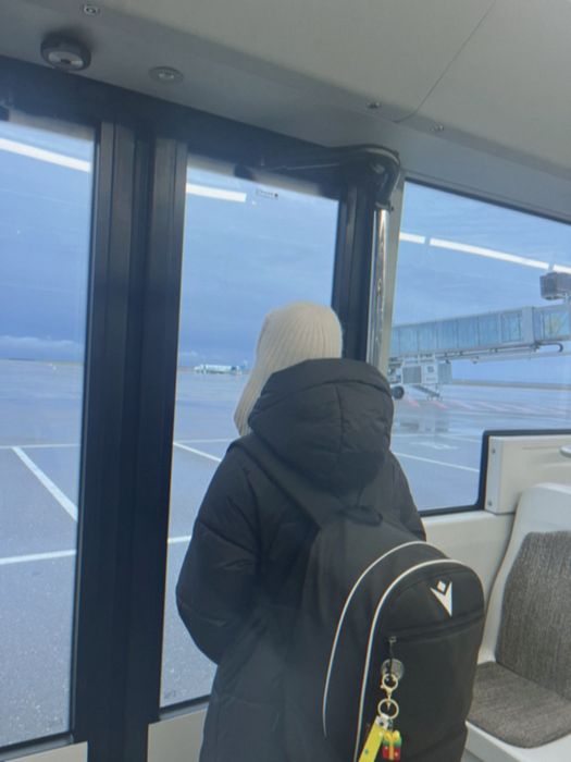 сумка макрон 25л