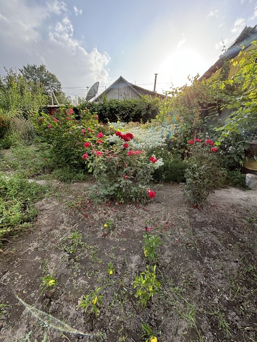 Продам дом в центре