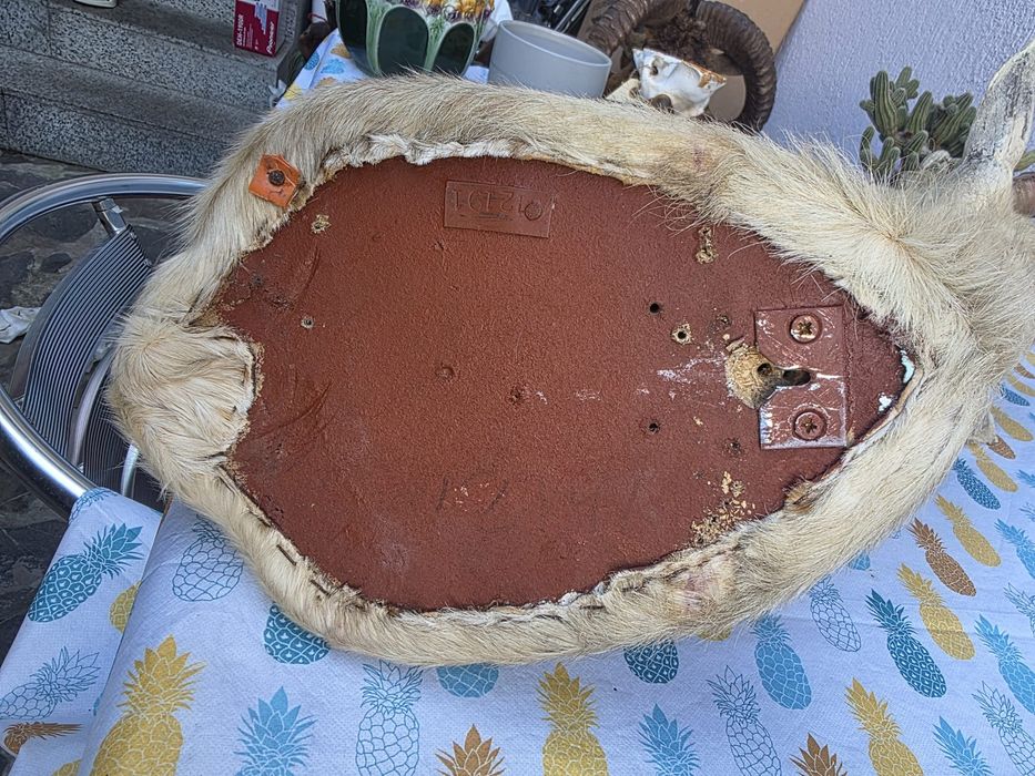 Obiect vechi de antichitate